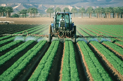 Tractor y campo