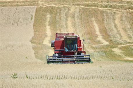 Tractor cosechando