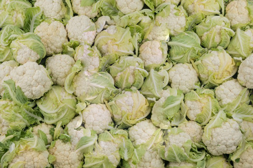Coliflores