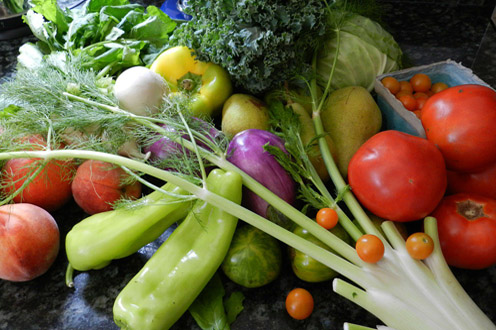 Verduras y hortalizas