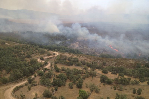 18/07/2014. Incendio Bustares Guadalajara Interior