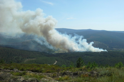 18/08/2014. Incendio forestal en Orense