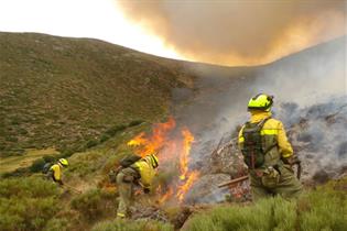 Efectivos terrestres durante la extinción de un incendio forestal