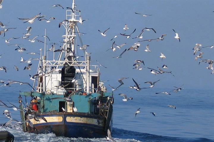 Barco pesquero Barco pesquero
