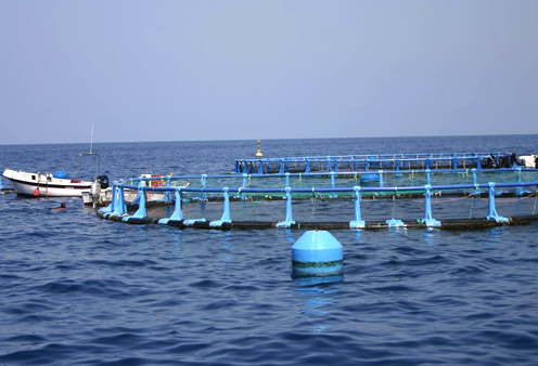 Instalación de acuicultura