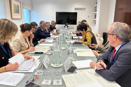 Reunión del grupo de trabajo