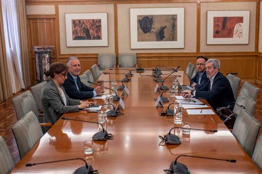 Reunión de coordinación crisis sanitaria hantavirus
