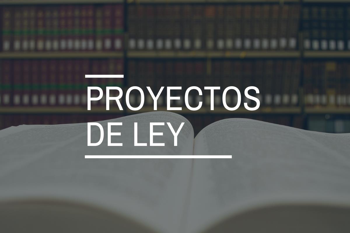 Proyectos de ley: ¿qué son y cómo se elaboran?