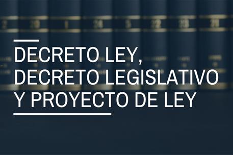 Decreto ley, decreto legislativo, proyecto de ley