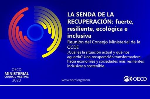 Cartel Consejo Ministerial OCDE