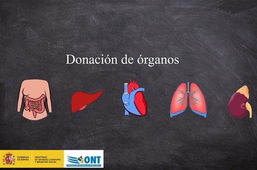 Collage sobre la donación de órganos