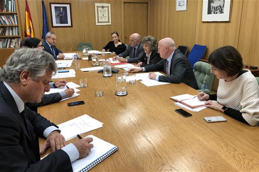 Carcedo en la reunión del Consejo Interterritorial del Sistema Nacional de Salud