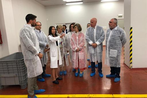 María Luisa Carcedo, durante su visita
