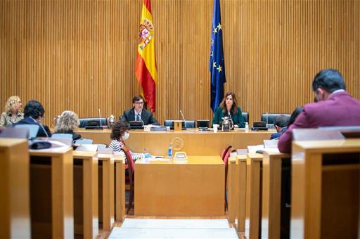 El ministro de Sanidad, Salvador Illa, durante su comparecencia ante la Comisión de Sanidad y Consumo del Congreso