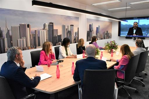 El ministro de Sanidad en funciones, José Miñones, durante la reunión que ha mantenido con representantes de Theramex