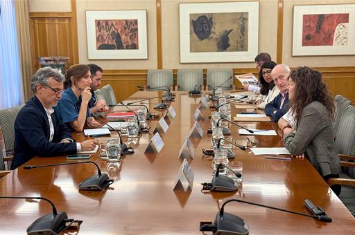 La ministra de Sanidad, Mónica García, durante la reunión que ha mantenido con los médicos británicos Graeme Groom, Ana Jeelani 