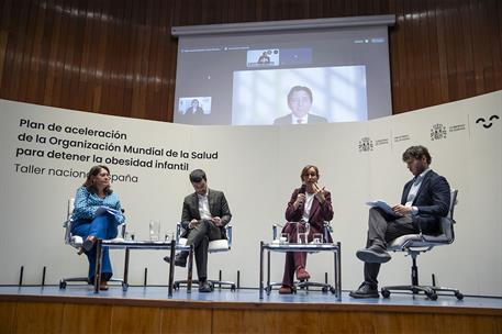La ministra en su intervención