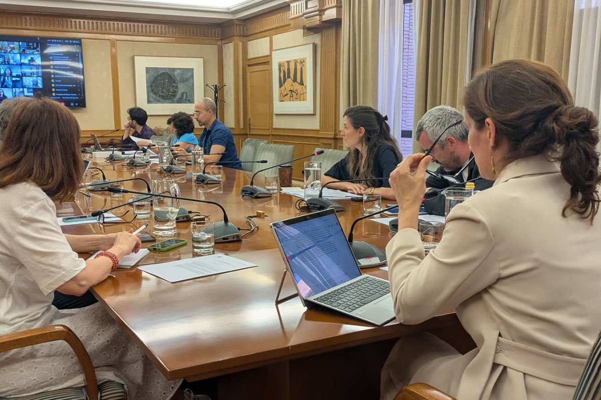 La titular de Sanidad en el Consejo Interterritorial del Sistema Nacional de Salud