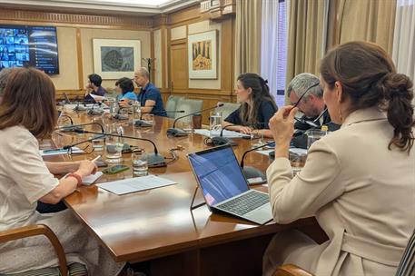 La titular de Sanidad en el Consejo Interterritorial del Sistema Nacional de Salud