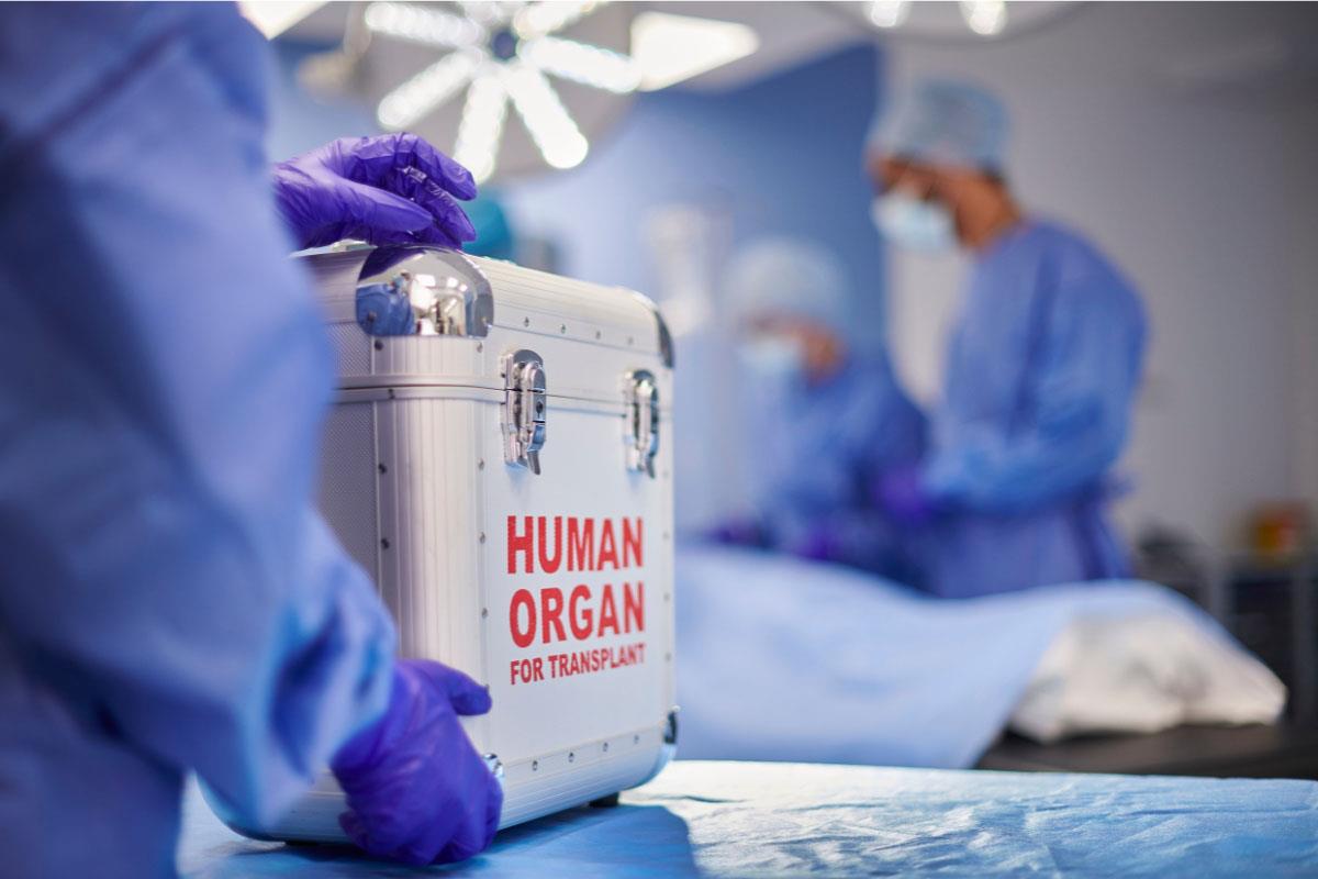 Imagen del artículo España logra un nuevo récord: 48 trasplantes de órganos en 24 horas