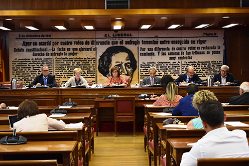 Isaura Leal en la Comisión Especial del Senado