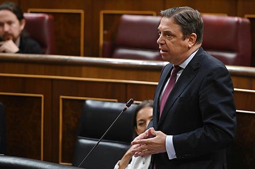 Luis Planas en la sesión de control al Gobierno en el Congreso de los Diputados