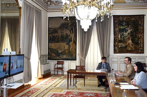 La ministra Carolina Darias durante la reunión con los representantes sindicales, por videoconferencia