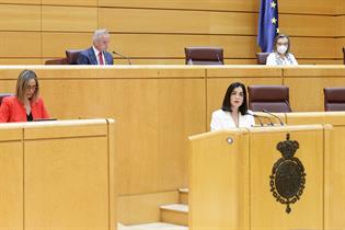 Carolina Darias durante su intervención