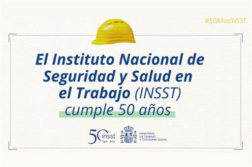 Instituto Nacional de Seguridad y Salud en el Trabajo 