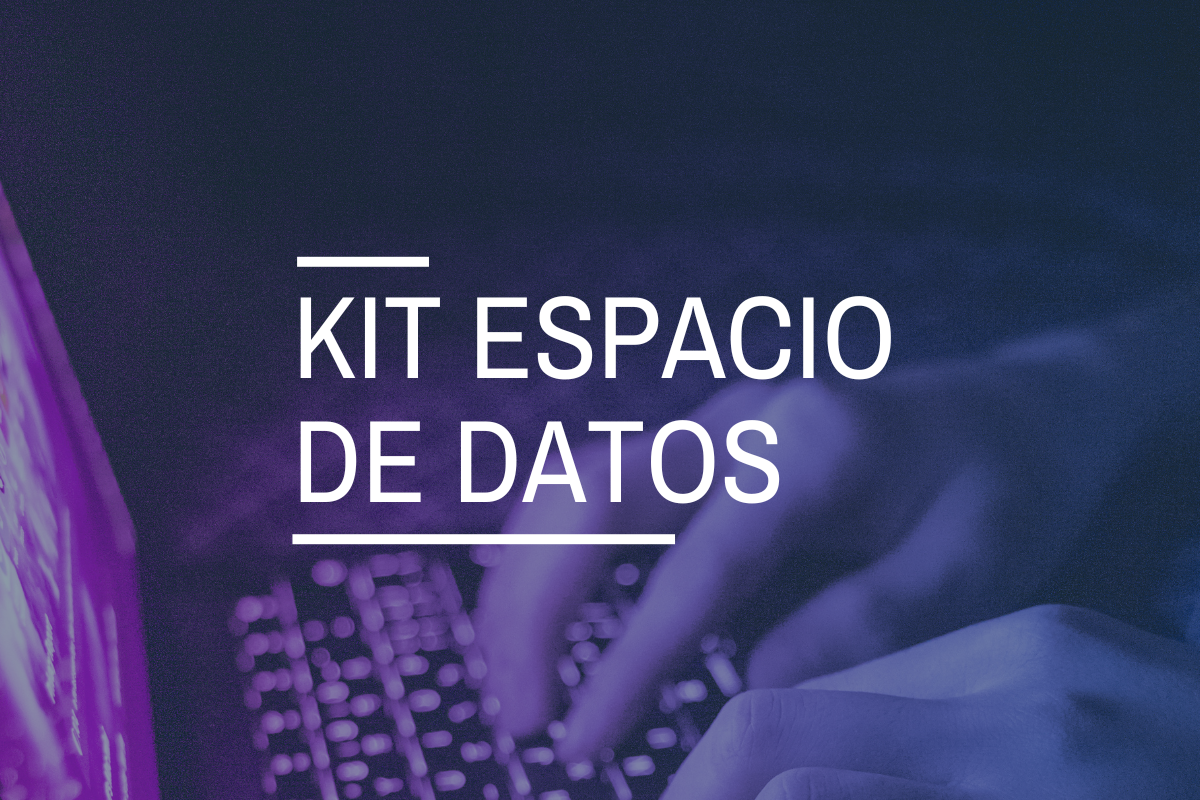 Kit Espacios de Datos: ¿cuál es la finalidad de estas ayudas y quiénes pueden solicitarlas?