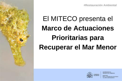 El MITECO presenta el Marco de Actuaciones Prioritarias para Recuperar el Mar Menor