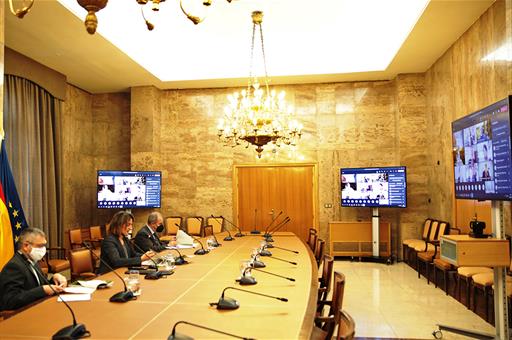 La vicepresidenta Teresa Ribera durante la reunión celebrada por videoconferencia