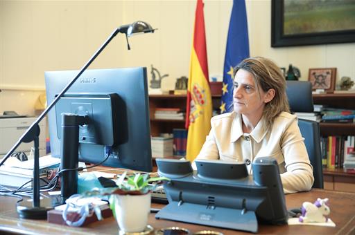 Teresa Ribera durante su intervención por videoconferencia