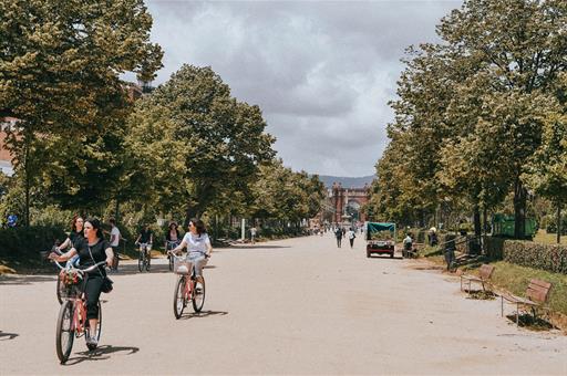 Usuarios de bicicleta en un parque
