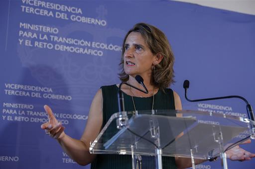 Teresa Ribera durante la rueda de prensa que ha ofrecido tras la reunión telemática con los responsables autonómicos