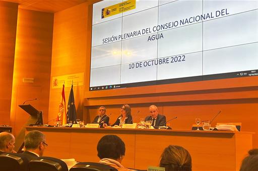 La vicepresidenta tercera del Gobierno, Teresa Ribera, ha presidido el Consejo Nacional del Agua