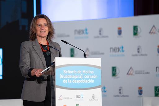 La vicepresidenta Ribera durante su intervención