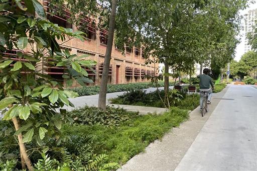 Imagen del artículo Sanidad y la FEMP publican una guía para transformar el espacio público con urbanismo que mejore la salud