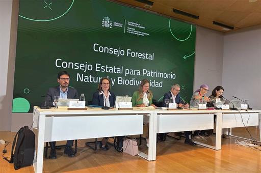 La vicepresidenta del Gobierno y ministra para la Transición Ecológica y el Reto Demográfico, Sara Aagesen, durante la reunión