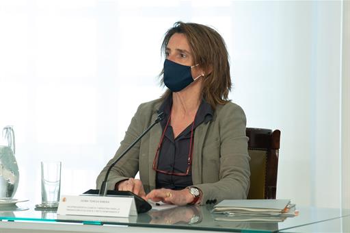 Teresa Ribera durante la videoconferencia