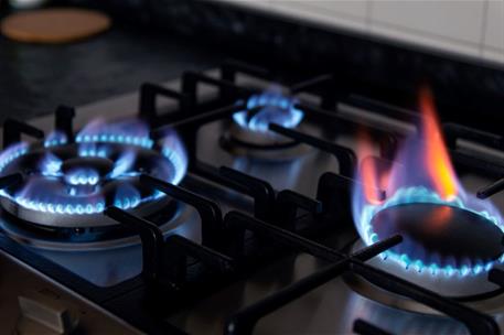 Quemadores de gas domesticos