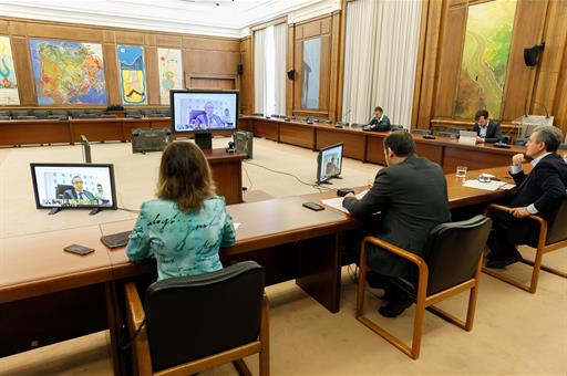 Reunión por videoconferencia con el Departamento de Mercancías del Comité Nacional de Transporte por Carretera 