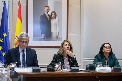 ​La ministra de Transportes, Movilidad y Agenda Urbana, Raquel Sánchez, durante la reunión telemática que ha mantenido con su ho