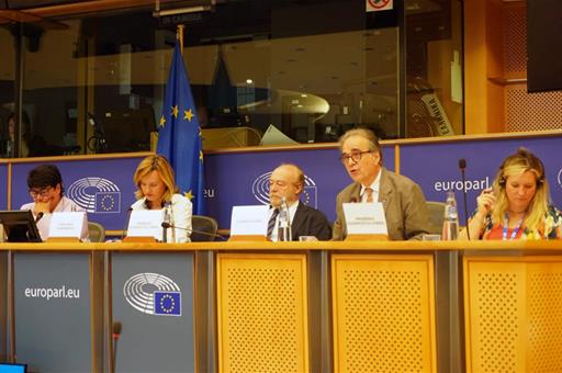 El ministro de Universidades, Joan Subirats, en el Parlamento Europeo